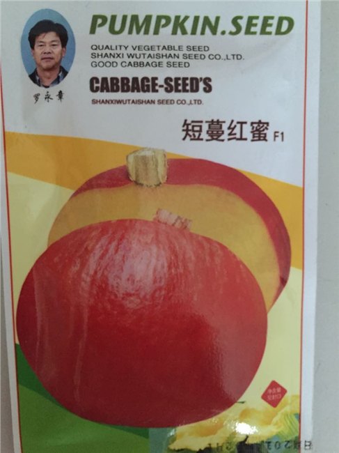 南瓜种子  甜栗南瓜种子 南瓜种子价格 ---绿