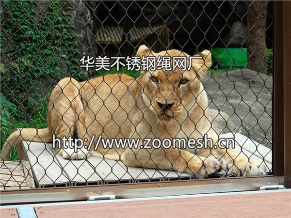 杭州老虎围网：大量供应各种划算的虎狮豹围网