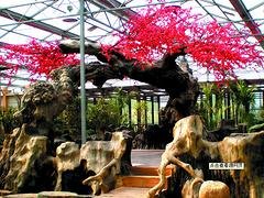 潍坊仿真假树——买仿真假树当然是到伟晟园林
