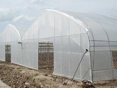 薄膜温室建造找盈丰温室工程公司，四川温室大棚
