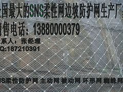 成都哪家生产的主动防护网GPS2可靠|安徽主动网