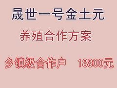 漯河土元养殖|河南哪家土元养殖合作公司信誉好