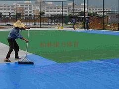 桂林知名的桂林塑胶篮球场供应商——桂林塑胶篮羽毛