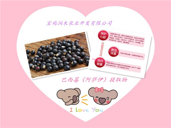 供应厂家供应巴西莓粉 水溶性好