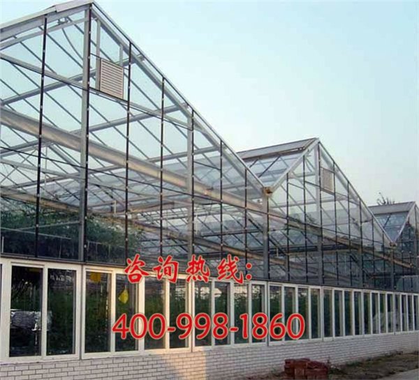 青州温室大棚建造厂家