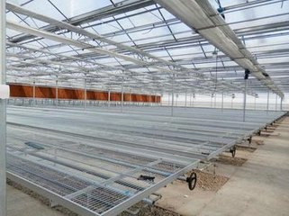HOT 规格标准的移动苗床哪家好？长春博超值得信