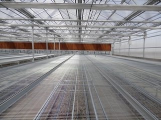 HOT 规格标准的热镀锌苗床网哪家好？吉林博超值