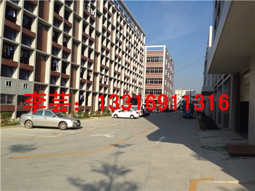 惠州地下停车场划线哪家做的好?大埔地下停车场划线