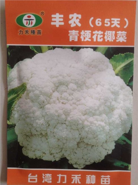 松花菜种子  松花菜种子价格---绿兴种苗