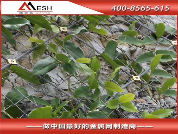 直销边坡防护网 柔性边坡防护 园林防护网 质量保