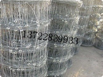 领先的铁丝网围栏加工%中国铁丝网围栏制造基地