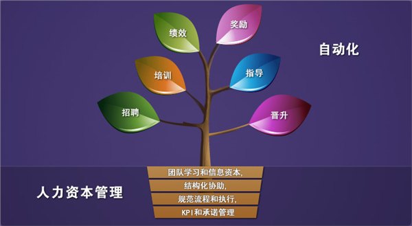杭州劳务公司提供杭州优质人力资源服务