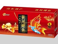 河南黄河鲤鱼，具有口碑的黄河鲤鱼批发市场推荐