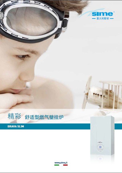 畅销的沈阳电壁挂炉，供暖壁挂炉，价格合理，冬天的