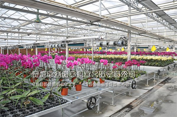 【精致】连栋温室建设施工#蔬菜连栋温室建设#玻璃