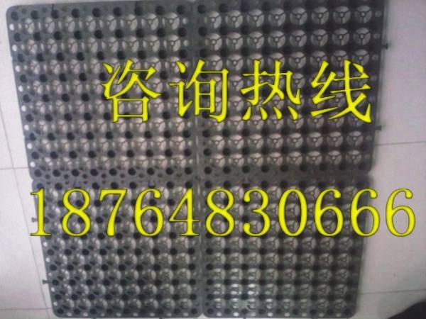 山东厂家直销蓄排水板