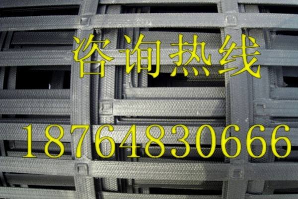 山东土工格栅供应价格