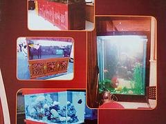 精美的实木雕刻鱼缸推荐：魏都水蓝玻璃制品