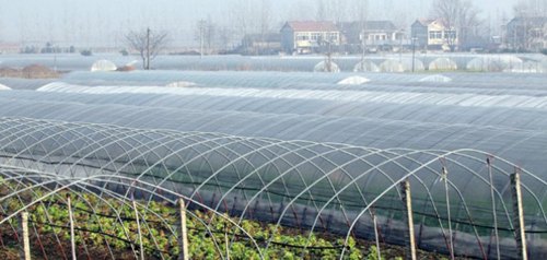 西瓜专用膜_西瓜专用膜报价_好用又实惠的西瓜专用