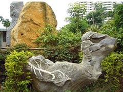 林屿造园艺术工程供应优质海南塑石假山【火热畅