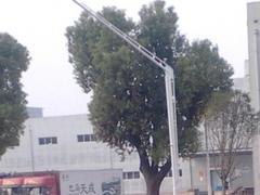 购买好的能路灯灯杆优选南宁健宁体育 |广西路