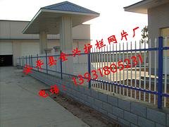 河北小区铁艺护栏网 热销铁艺护栏网供应