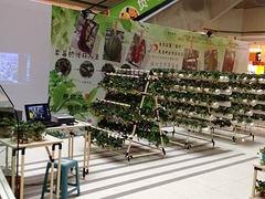 福州品鉴自动化出售优质花架，厦门精益管花架