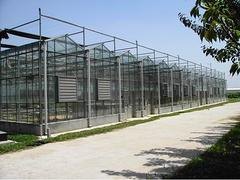应有尽有！【临朐、寿光、潍坊、临沂】文洛玻璃温室