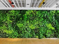 哪里有办公绿化：福建优质办公绿化公司