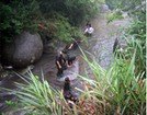 武汉专业的户外拓展公司_湖北一流的武汉户外拓展费
