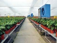 花卉大棚温室公司推荐——花卉大棚温室