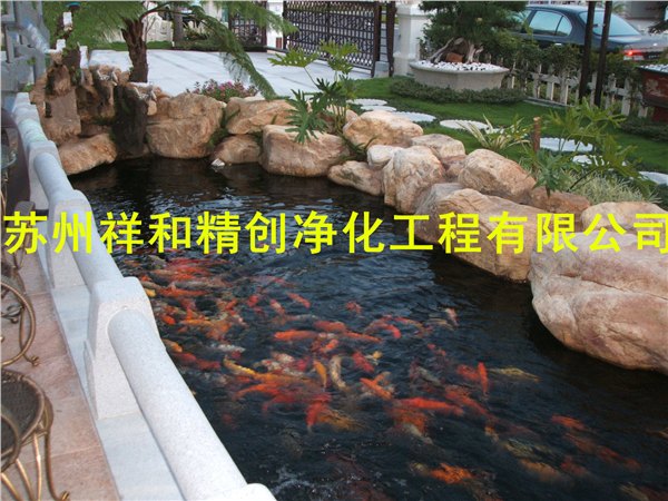 杭州市室外景观鱼池水处理工程，采用生态生物净化技