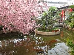 优质的生态餐厅建设山东提供  |生态餐厅建设哪家