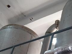 香港废水蒸发器_供应湖北热销废水蒸发器