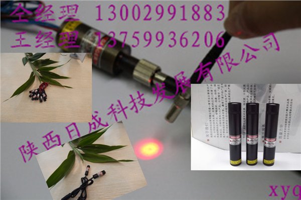 连续式光纤镭射灯