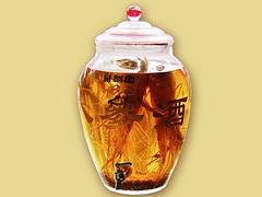 哪里的人参酒好，哪里有销售价位合理的养生人参酒
