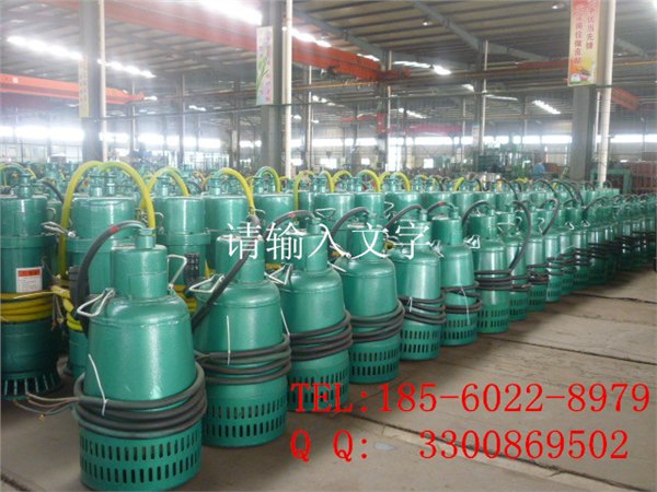 白银安泰防爆潜水泵独一无二 十强风姿再现