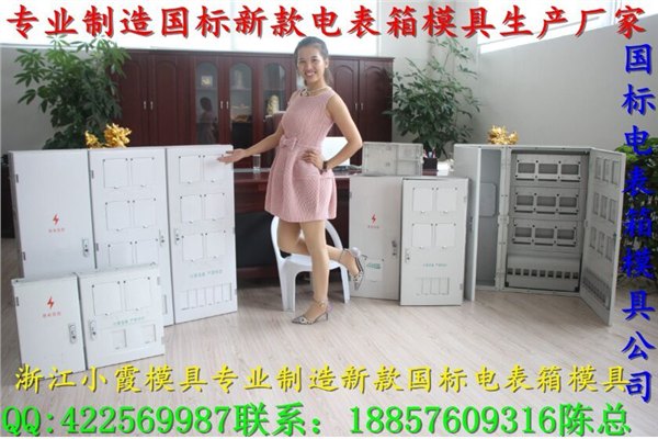 注射模具国标标准ABS电表箱模具