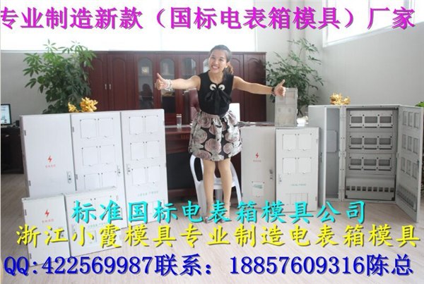 中国ABS电表箱模具开一套注射模具多少钱