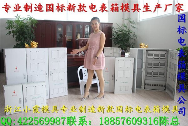 大型注塑模具新款ABS电表箱模具