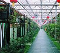 观光餐厅建造