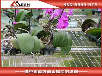 祥益供应镀锌温室苗床钢丝网 大棚花卉护栏 网面平