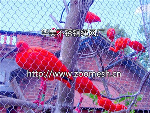 不锈钢鸟语林网、飞鸟园防护网、不锈钢飞鸟笼舍