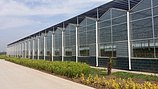 供应山东畅销水晶PO膜，日本PO膜价格