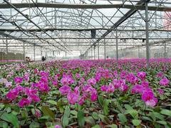 江西EVA农膜|好的EVA农膜天瑞农膜供应