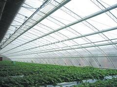 潍坊可靠的温室大棚提供商_高性价温室大棚建造