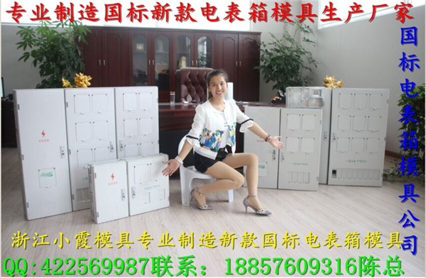 加工一套中国16表位电表箱塑胶模具要多少钱