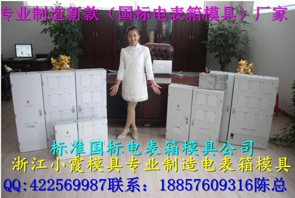 新款16表位电表箱塑胶模具黄业