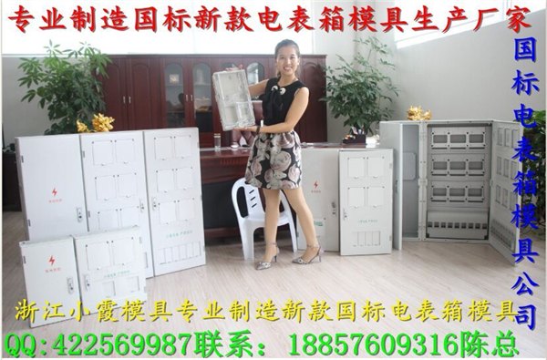独家16表位电表箱塑胶模具小霞模具公司