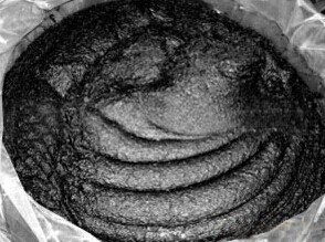 厂家直销高质优效养鱼好帮手之乌贼提取物乌贼膏